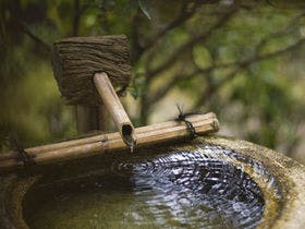 創業三百年、和の情緒と丹後の幸に心を癒される宿　茶六別館
