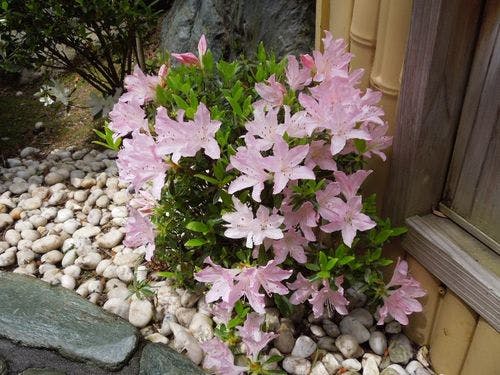 ■庭園の四季■　イメージ