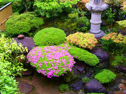 ■庭園の四季■　非日常へ誘う「緑の香り」