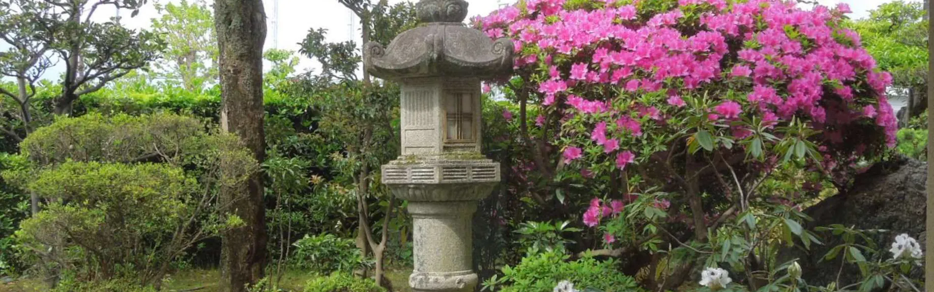 宮津温泉 料理旅館 茶六別館