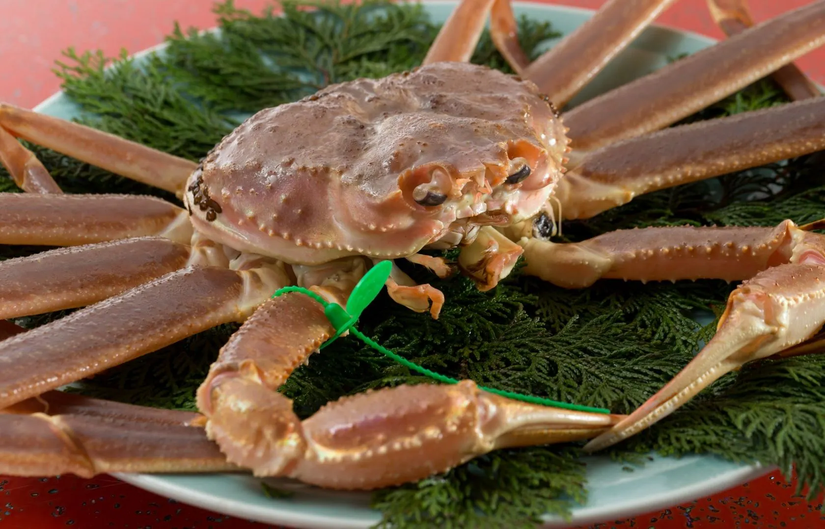 겨울의 맛: 마츠바게