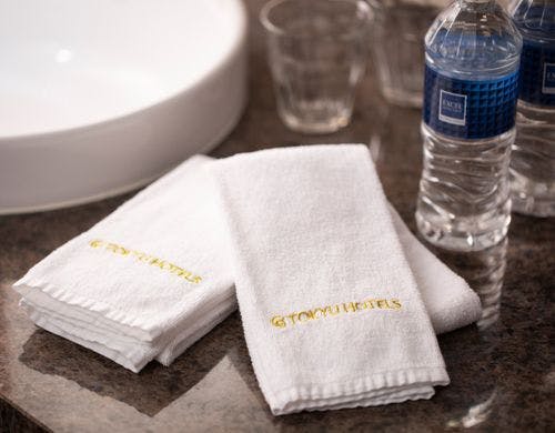 トリプル(正規ベッド３台、３８平米)