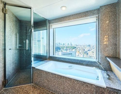 セルリアンデラックスツイン