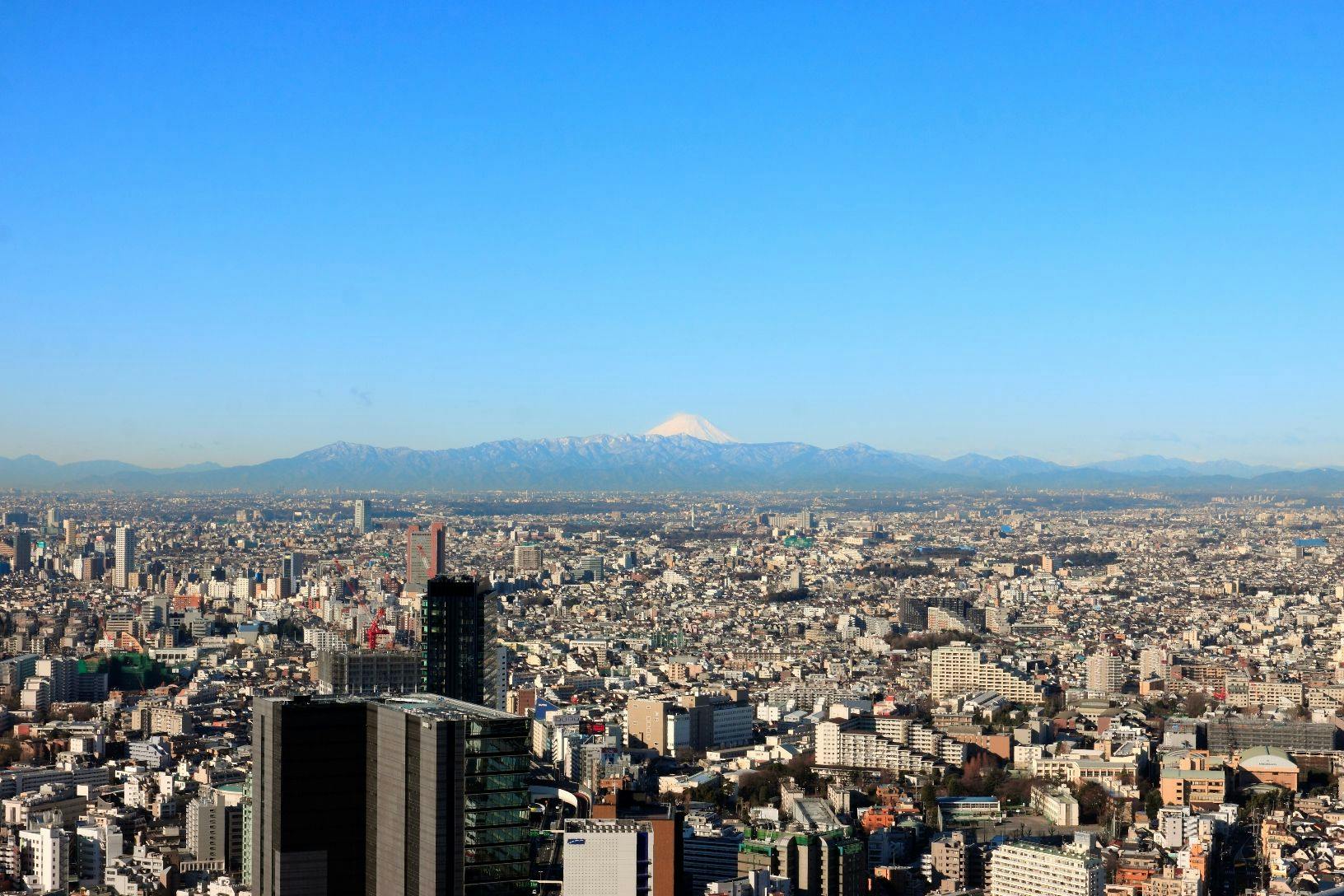 セルリアンタワー東急ホテル