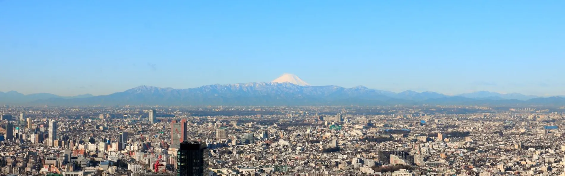 セルリアンタワー東急ホテル