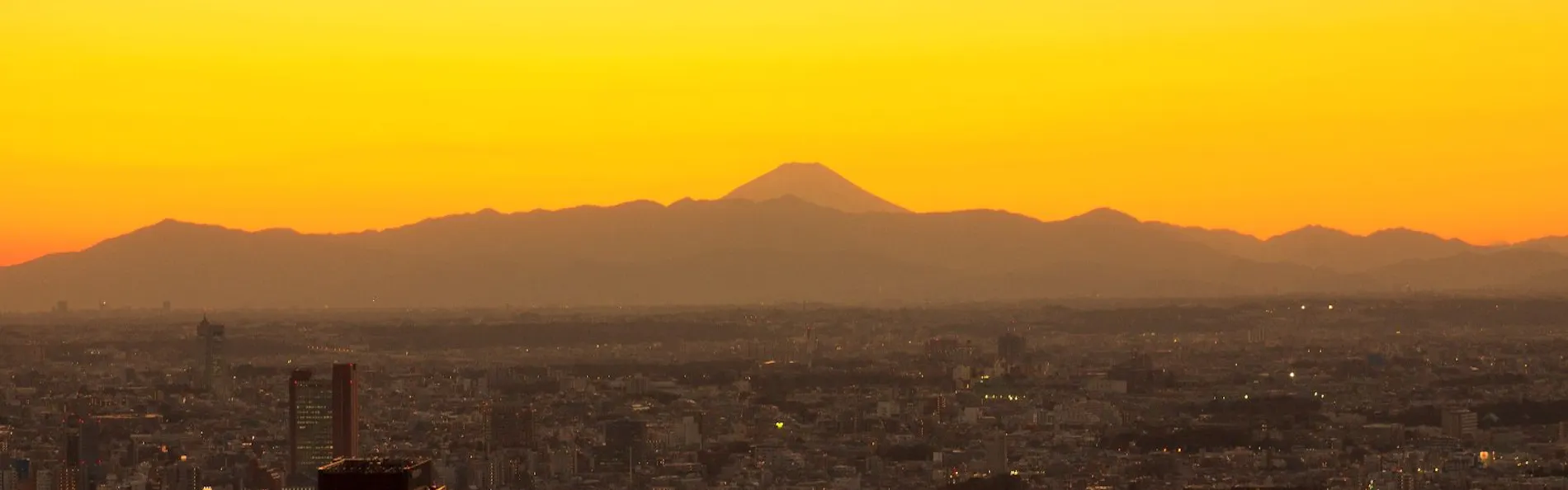 セルリアンタワー東急ホテル