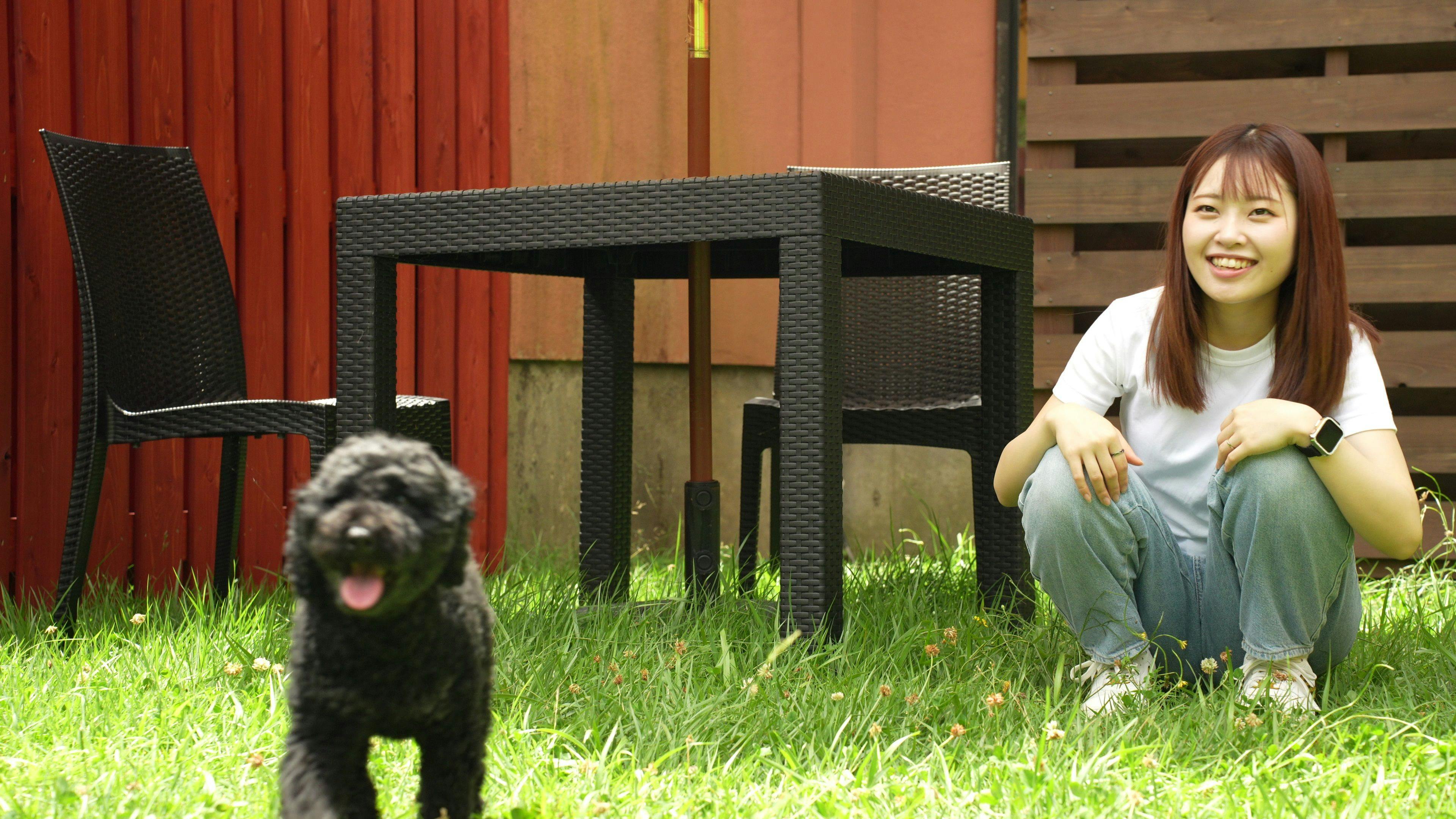 Area lari anjing pribadi untuk Kamar