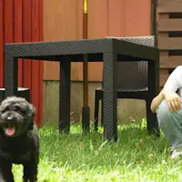 Area lari anjing pribadi untuk Kamar