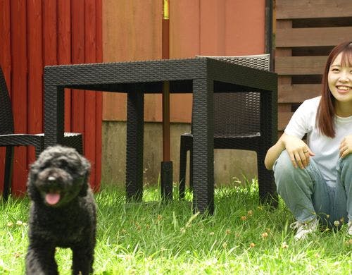 天空のプロムナード