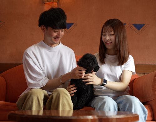 お部屋専用のドッグラン