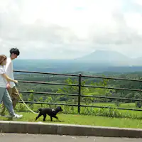 Jalur rumput sepanjang sekitar 2,6 km (Promenade Langit).