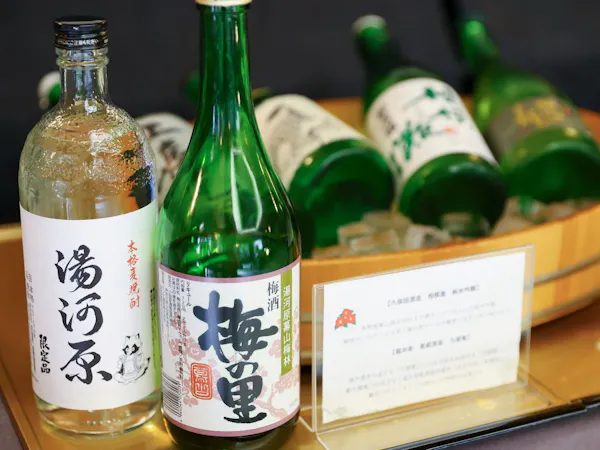【150日前優待】海石榴伝統の会席料理を味わう至福のお部屋食/1泊2食付