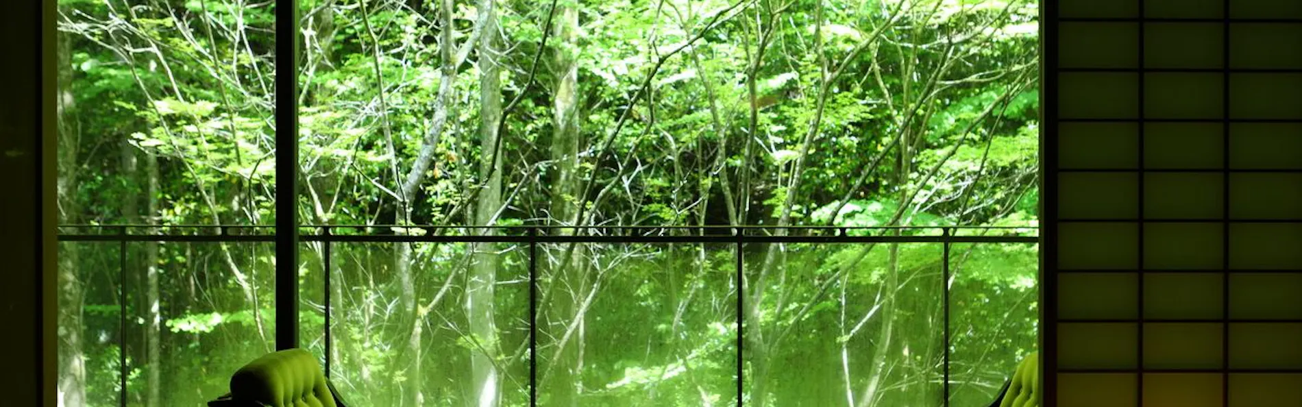 海石榴 つばき