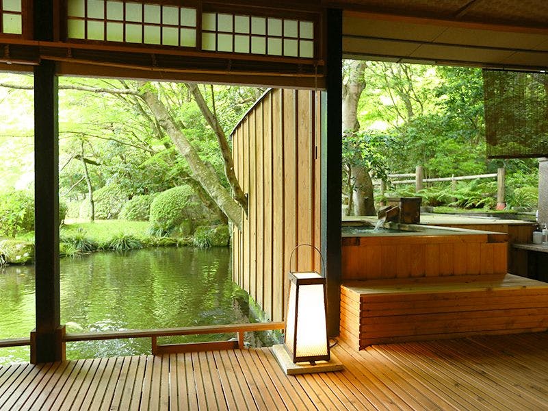 海石榴 つばき