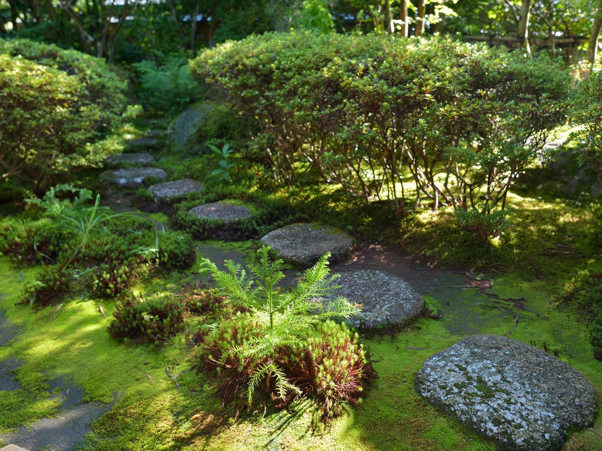 箱根湯本温泉 玉庭