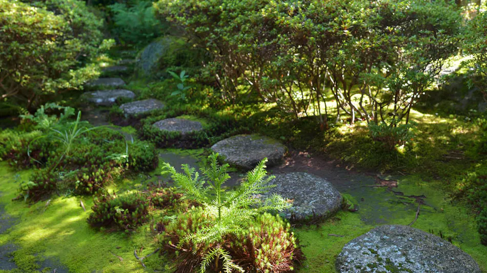 Hakone Yumoto Onsen Gyokutei