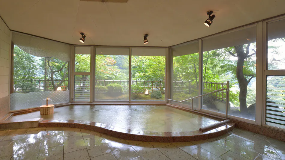 Hakone Yumoto Onsen Gyokutei