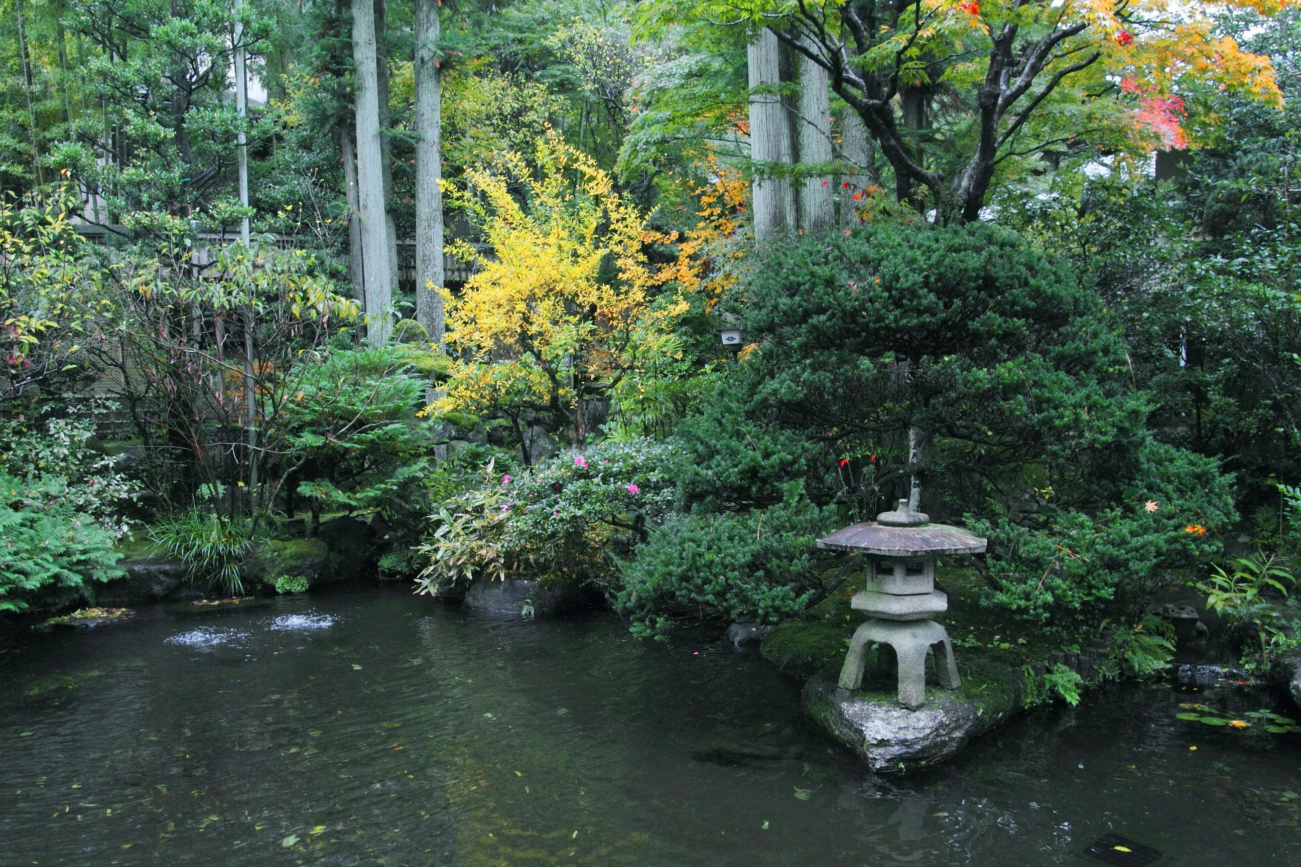 箱根湯本温泉 玉庭