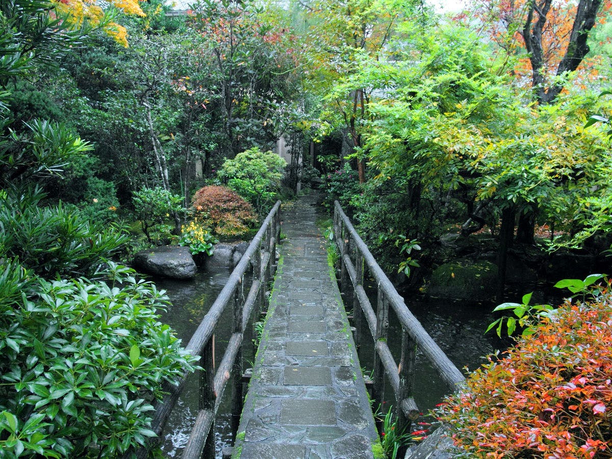 箱根湯本温泉 玉庭