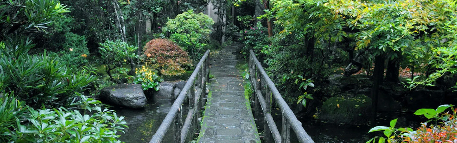 箱根湯本温泉 玉庭