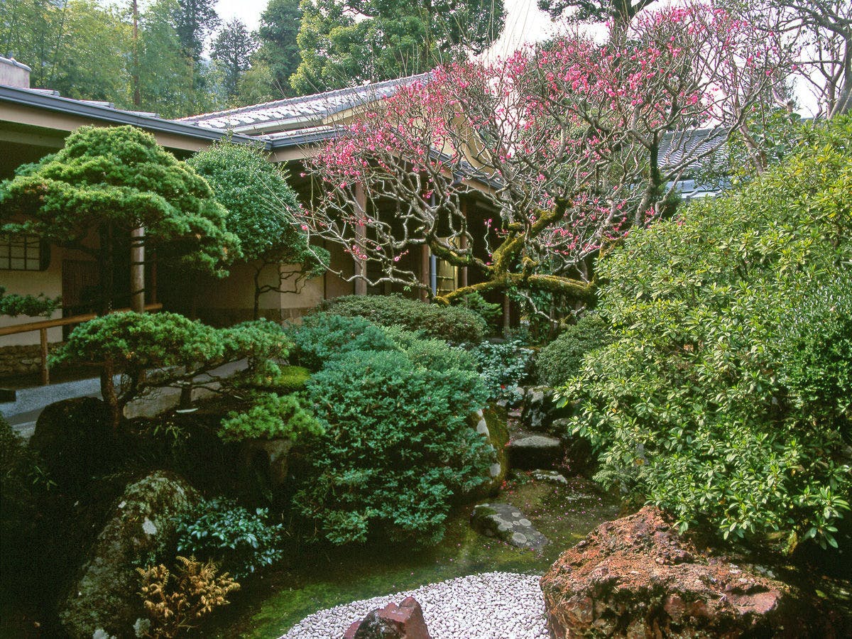 箱根湯本温泉 玉庭