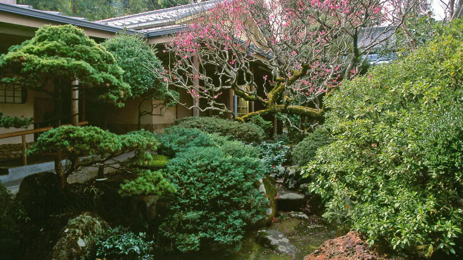 Hakone Yumoto Onsen Gyokutei