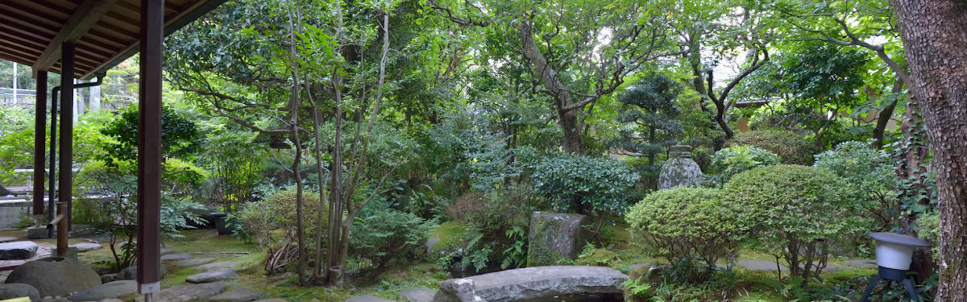 箱根湯本温泉 玉庭