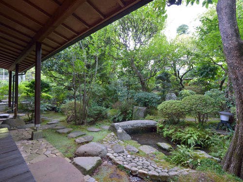 *客室一例／春は緑・秋は紅葉に染まる庭園