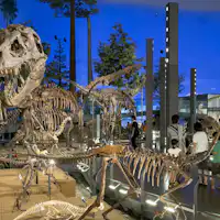 福井県立恐竜博物館(車で60分)