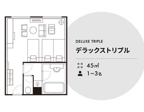 ●デラックストリプル【45平米】