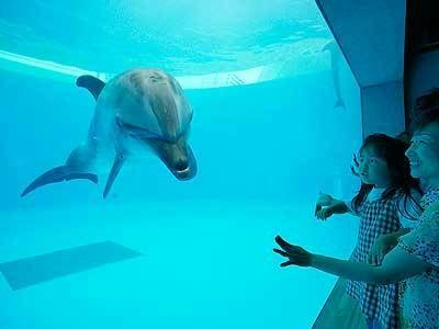 NET限定！リゾート＆アクティブプラン【水族館チケット＆朝食付】