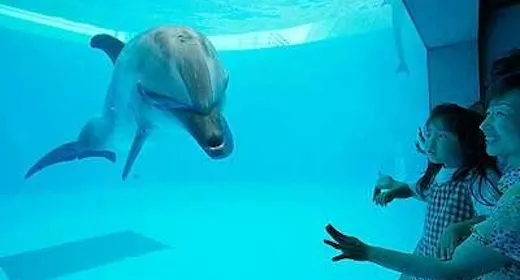NET限定!リゾート&アクティブプラン【水族館チケット&朝食付】