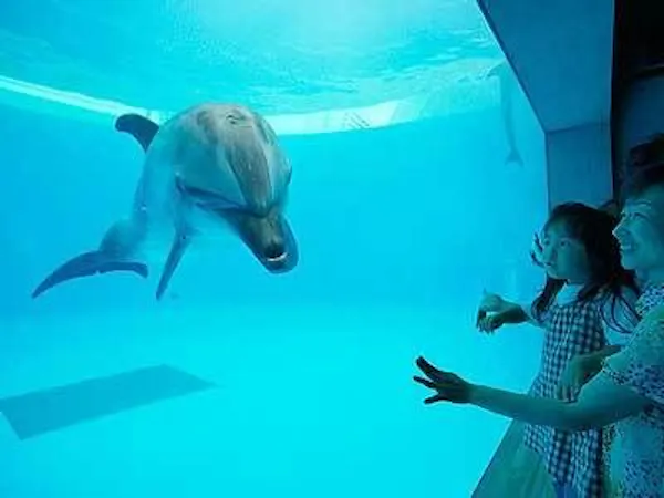 NET限定!リゾート&アクティブプラン【水族館チケット&朝食付】