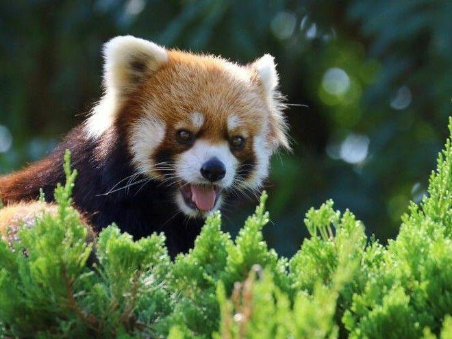 NET限定！リゾート＆アクティブプラン【動植物園チケット＆朝食付】