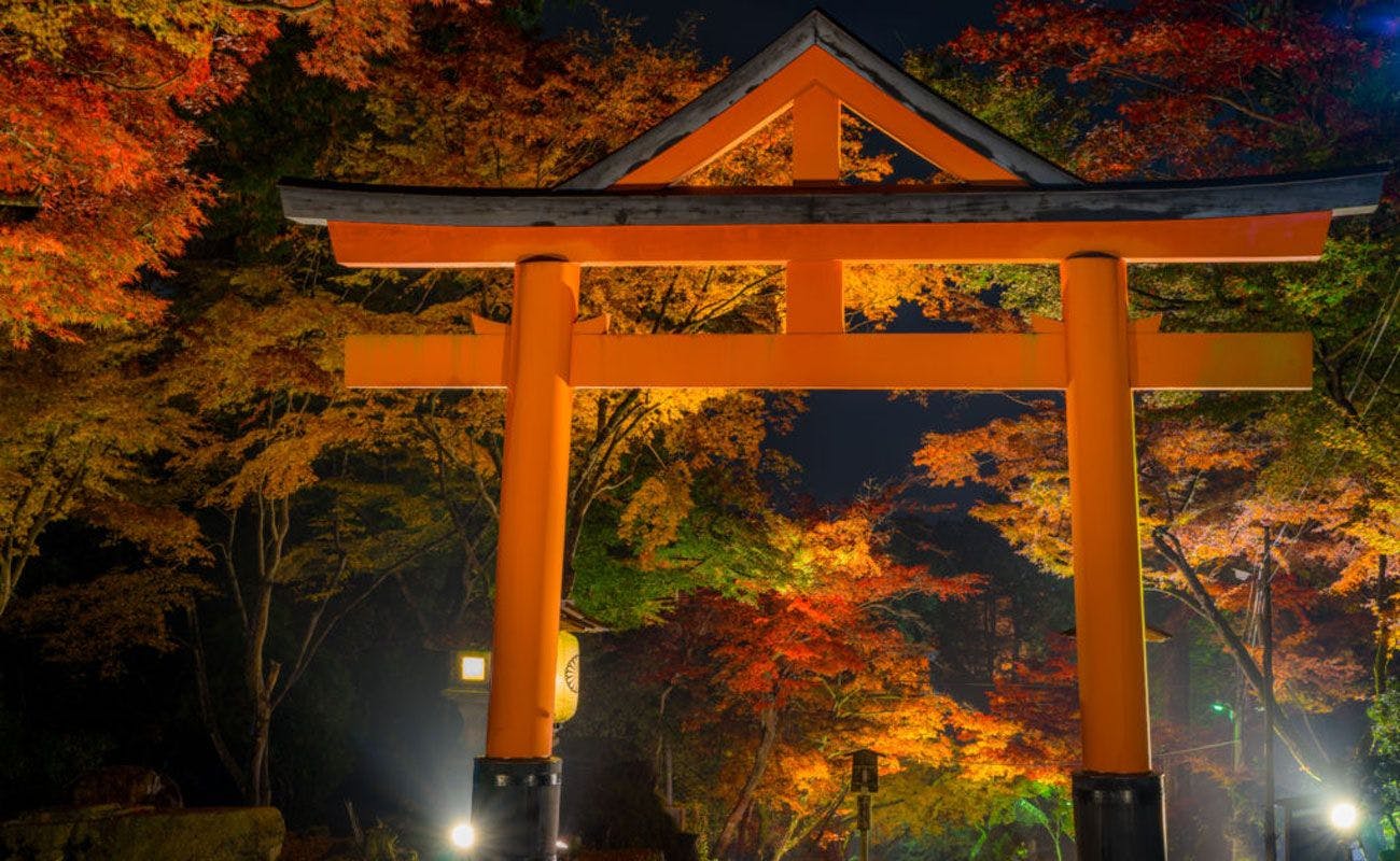 滋賀院門跡ライトアップ　（イメージ）