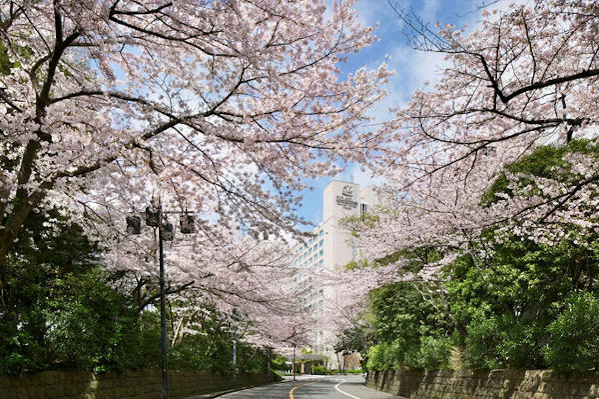 ザ・プリンス さくらタワー東京、オートグラフ コレクション