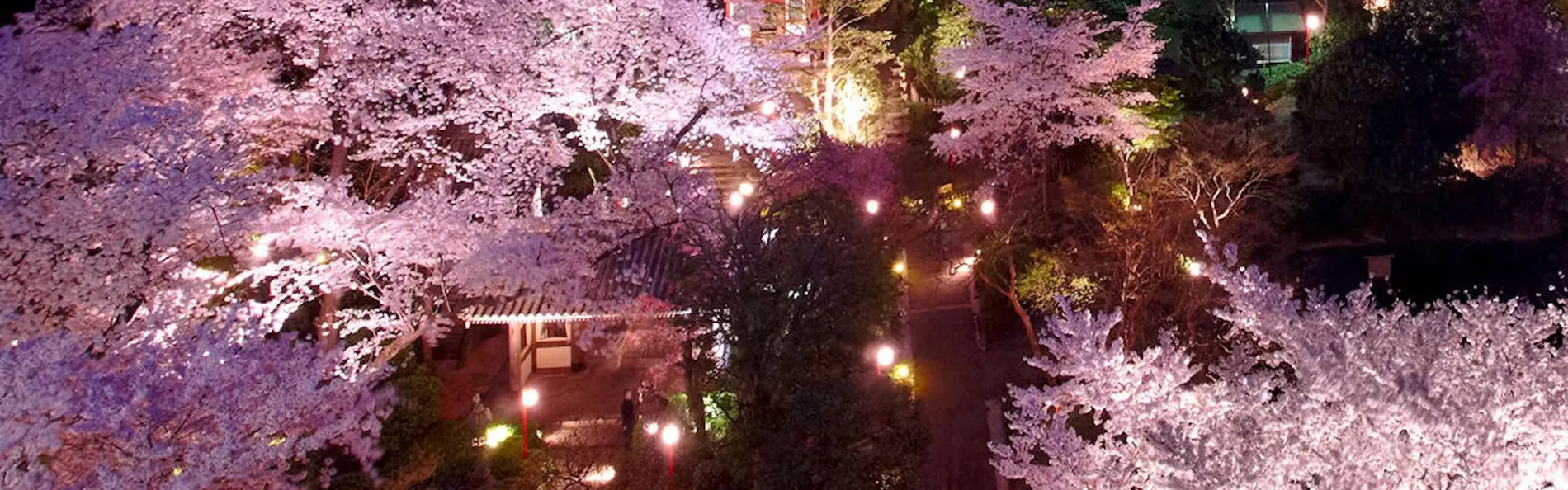 ザ・プリンス さくらタワー東京、オートグラフ コレクション