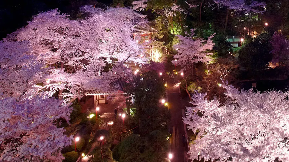 The Prince Sakura Tower Tokyo, Autograph Collection