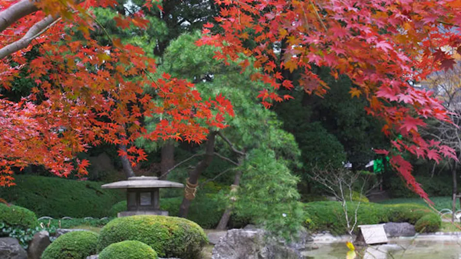 The Prince Sakura Tower Tokyo, Autograph Collection