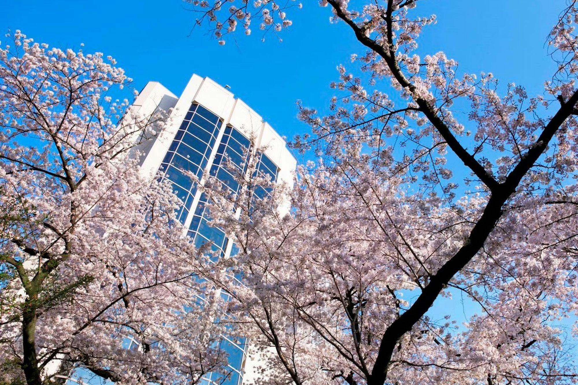 ザ・プリンス さくらタワー東京、オートグラフ コレクション