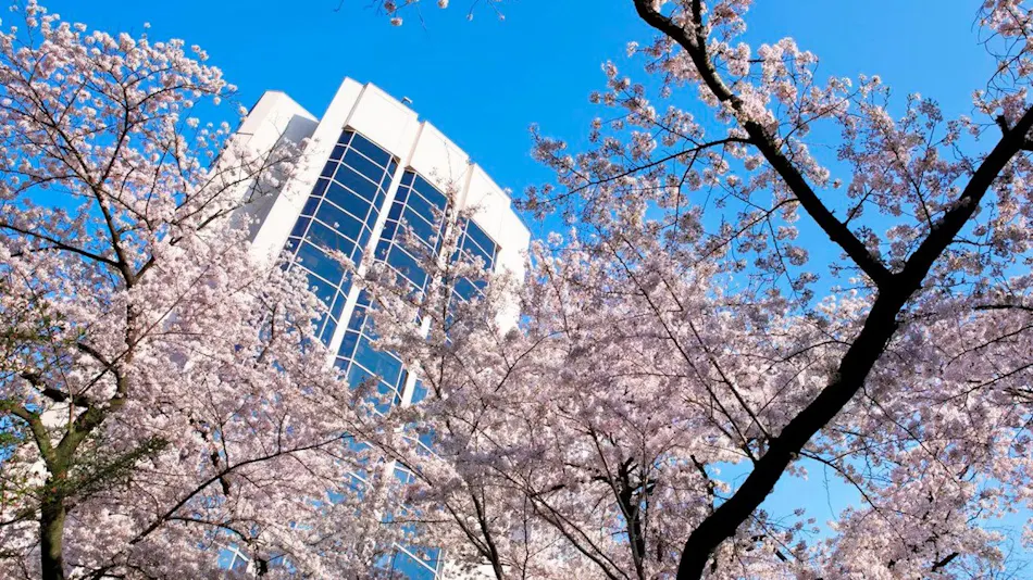 The Prince Sakura Tower Tokyo, Autograph Collection