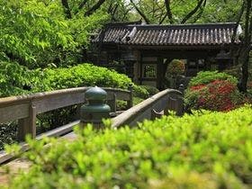 ＜東京＞高齢者向け、落ち着いた内装でおすすめの旅館を教えて