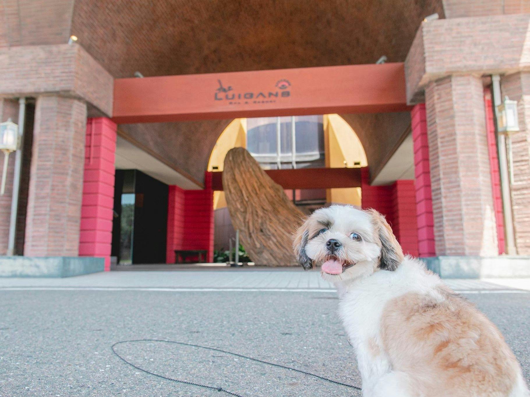 ห้องพักที่เป็นมิตรกับสุนัข