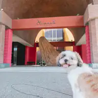 ห้องพักที่เป็นมิตรกับสุนัข