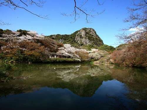 5000 pohon sakura di Taman Mifuneyama.