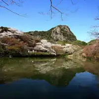 5000 pohon sakura di Taman Mifuneyama.
