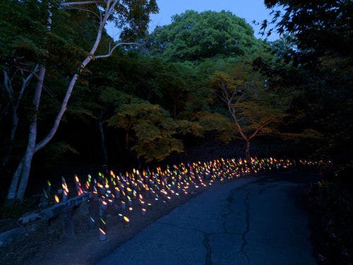 夏に御船山楽園で開催される「竹あかり」