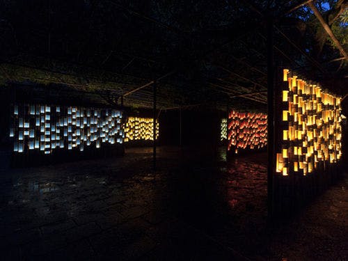 夏に御船山楽園で開催される「竹あかり」