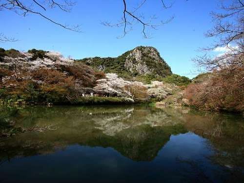 御船山楽園の５０００本の桜