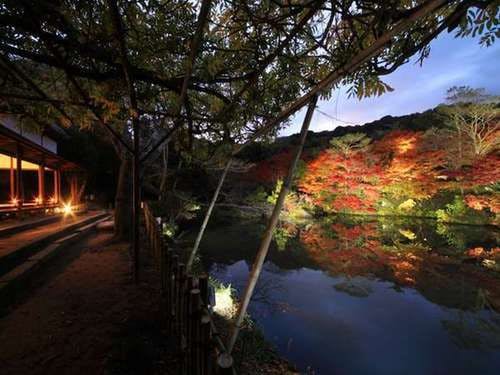 紅葉ライトアップ『たまゆらの夕べ』